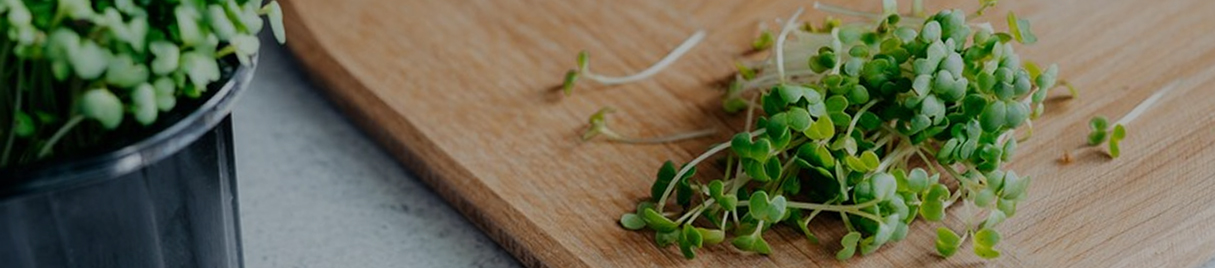 Microgreen Salad